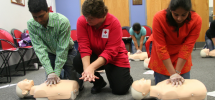 red cross training